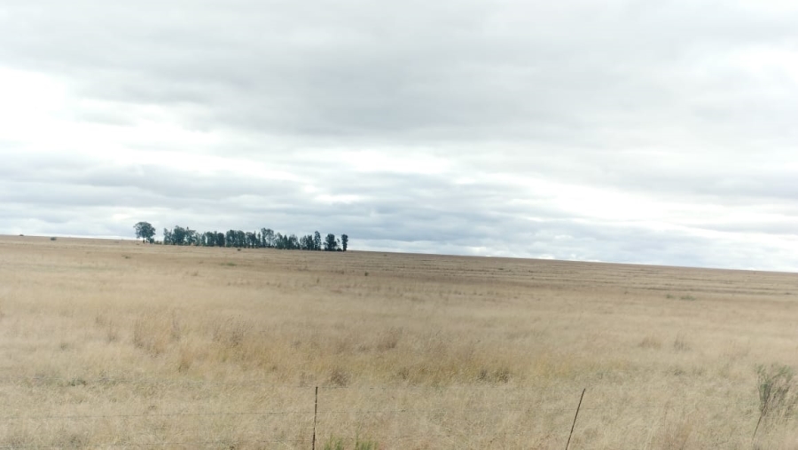 4 Bedroom Property for Sale in Dewetsdorp Rural Free State